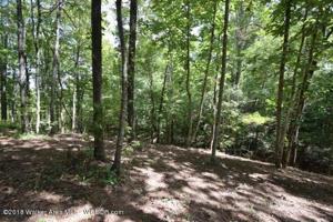 LOT 7 THE COVES AT CROOKED CREEK