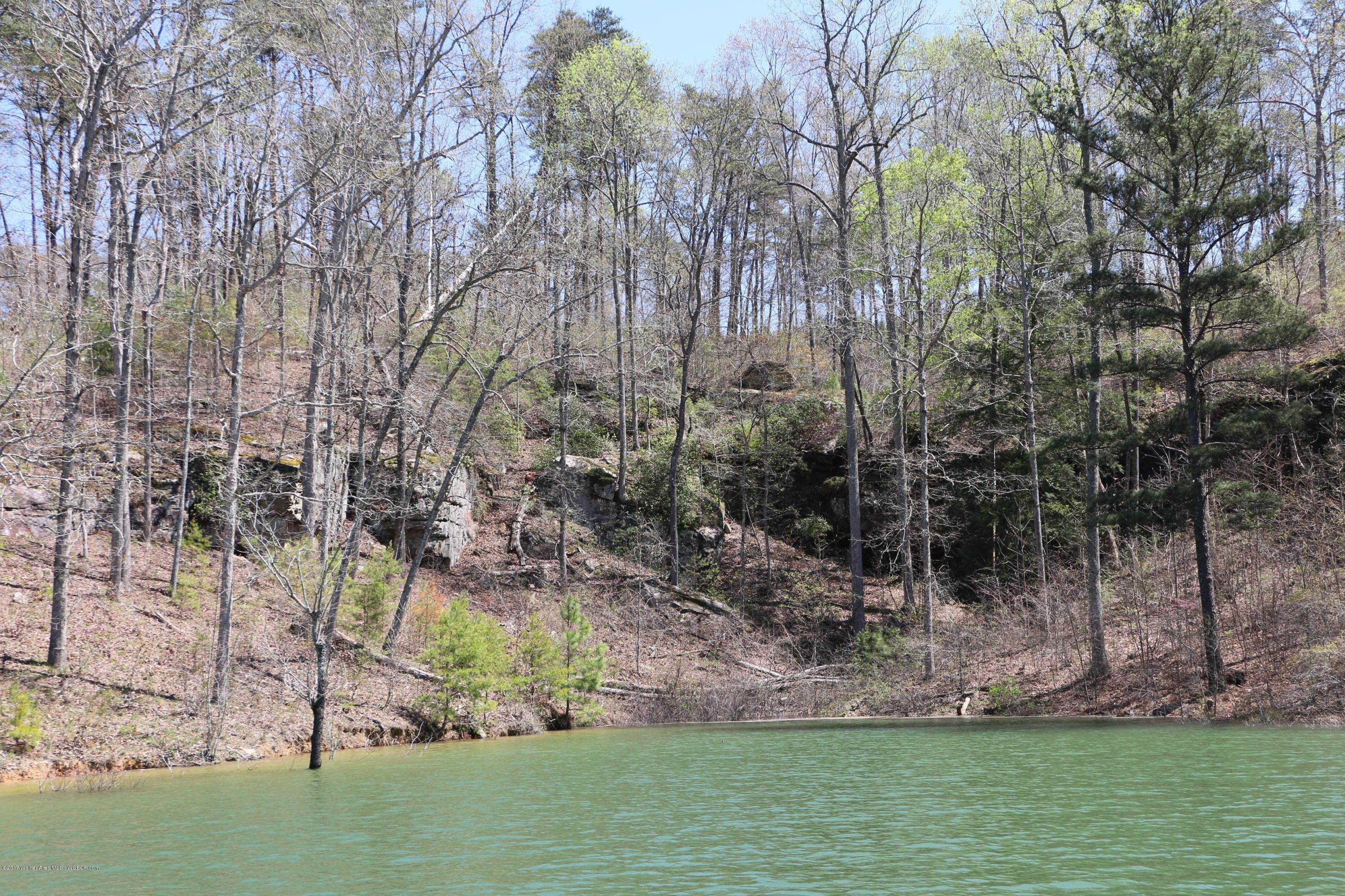 Image 3: IMG_6185