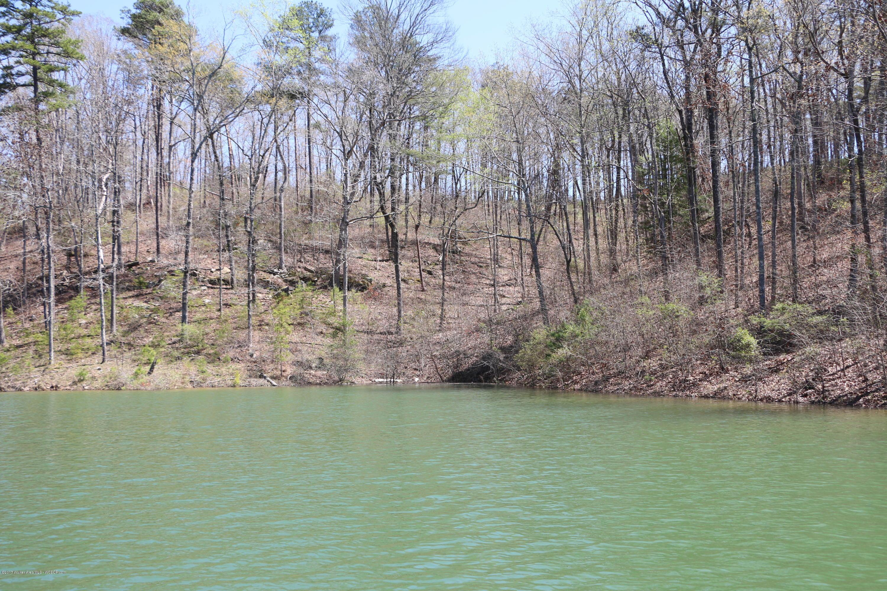 Image 3: IMG_6194