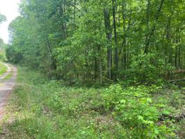 COUNTY ROAD 226