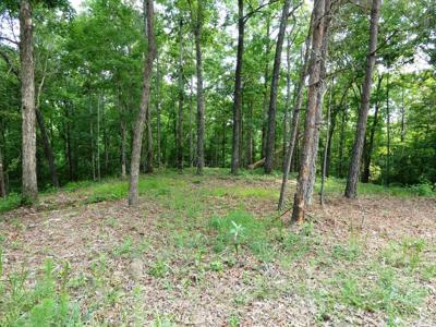 LOT 77 BROKEN ARROW
