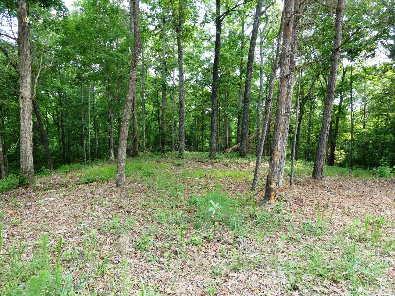 Image 1: View of lot from the road