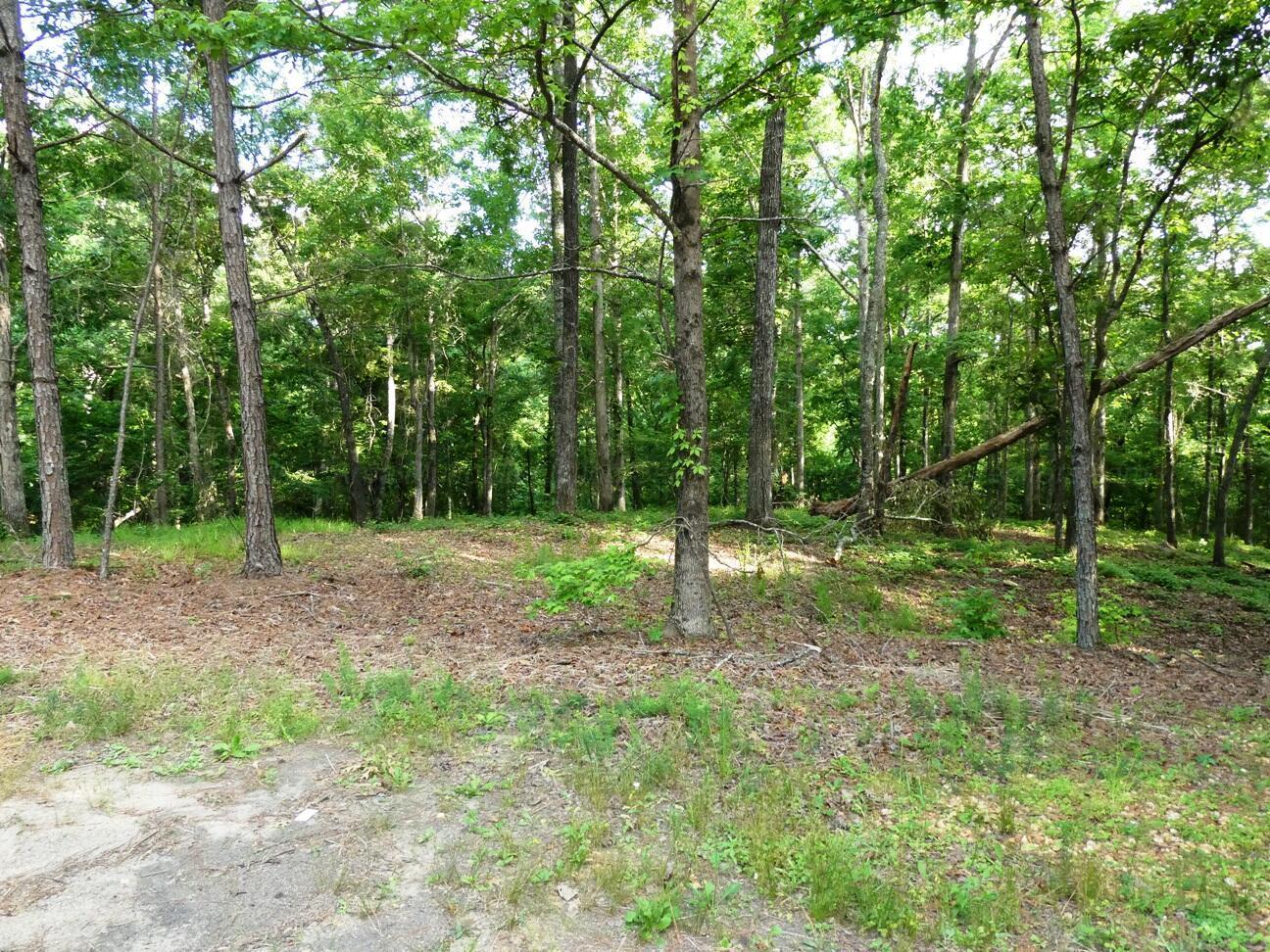 Image 3: Lot 77 view 3