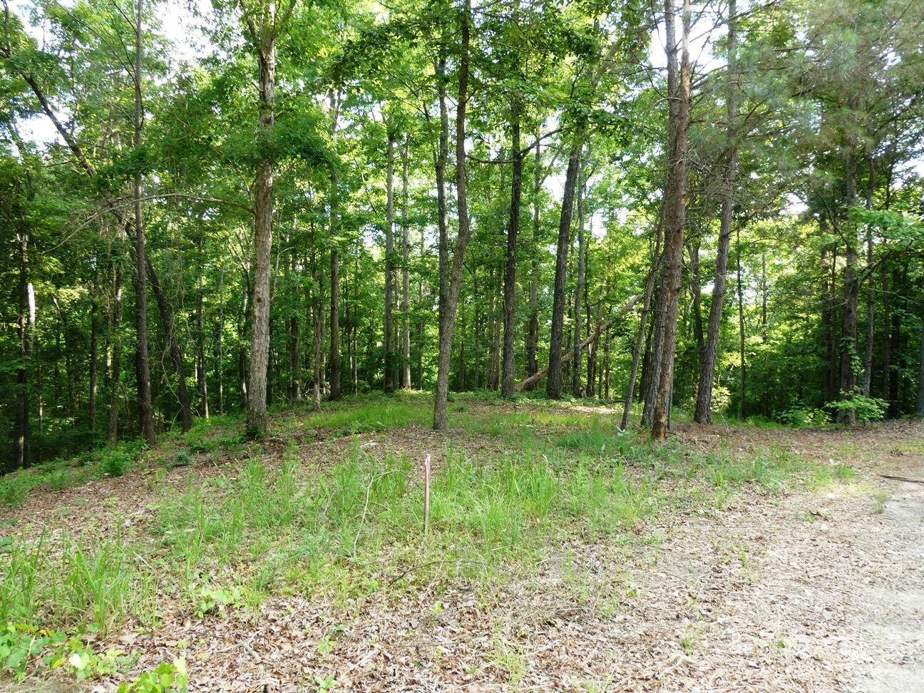 Image 4: Lot 77 view 4