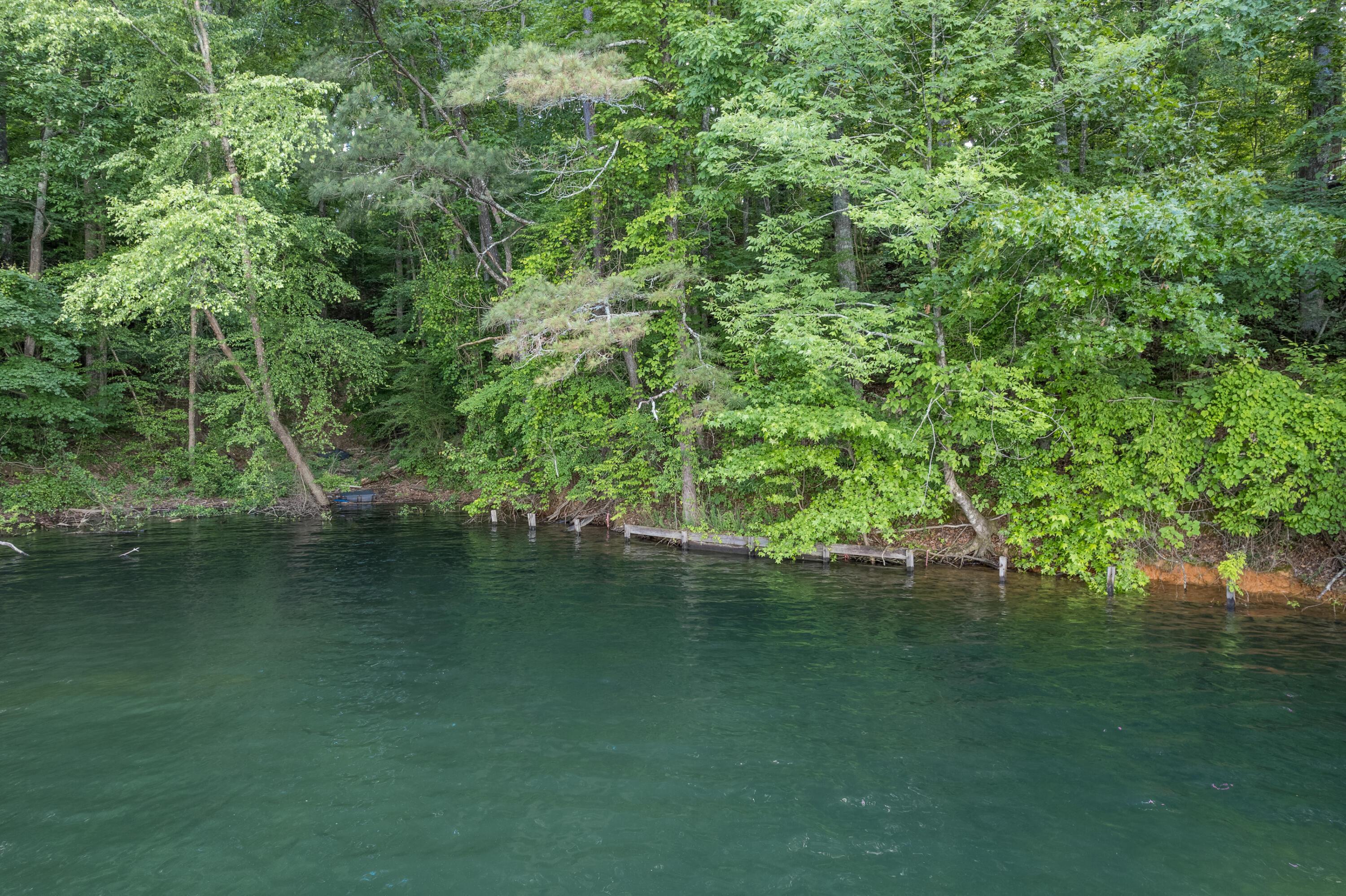 Image 3: Lakeside
