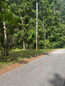 LOT 20 COUNTY ROAD 199