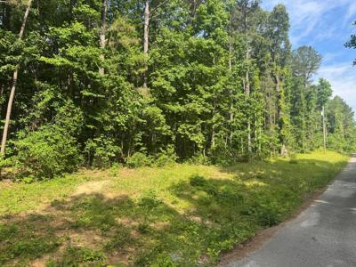 LOT 21 COUNTY ROAD 199