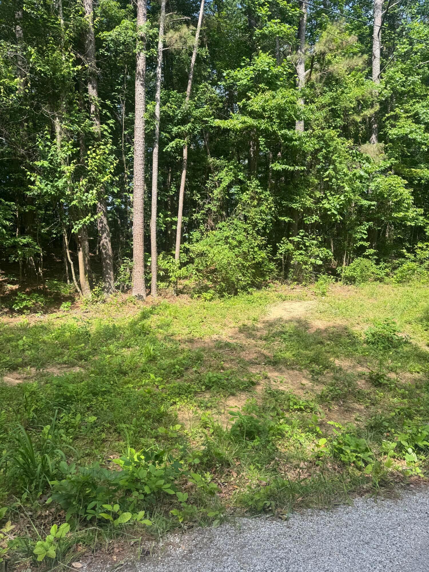 Image 2: lot 21