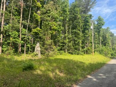 LOT 22 COUNTY ROAD 199