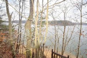 LOT 12 CASTLE ROCK ESTATES