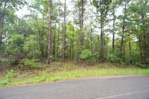 LOT 21 MOCKINGBIRD LANE