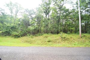 LOT 22 MOCKINGBIRD LANE
