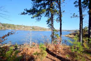 LOT 22 BRUSHY CREEK POINTE
