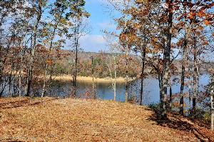LOT #16 THE BLUFFS AT BRUSHY POND