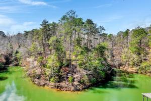 LAKE POINTE DR