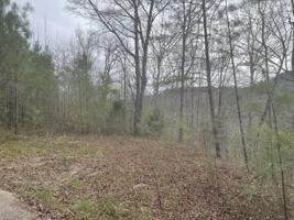 986 CO RD 3782