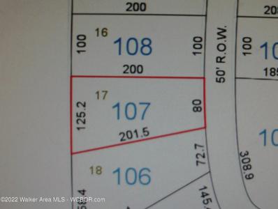 LOT 17 IVEY Ln