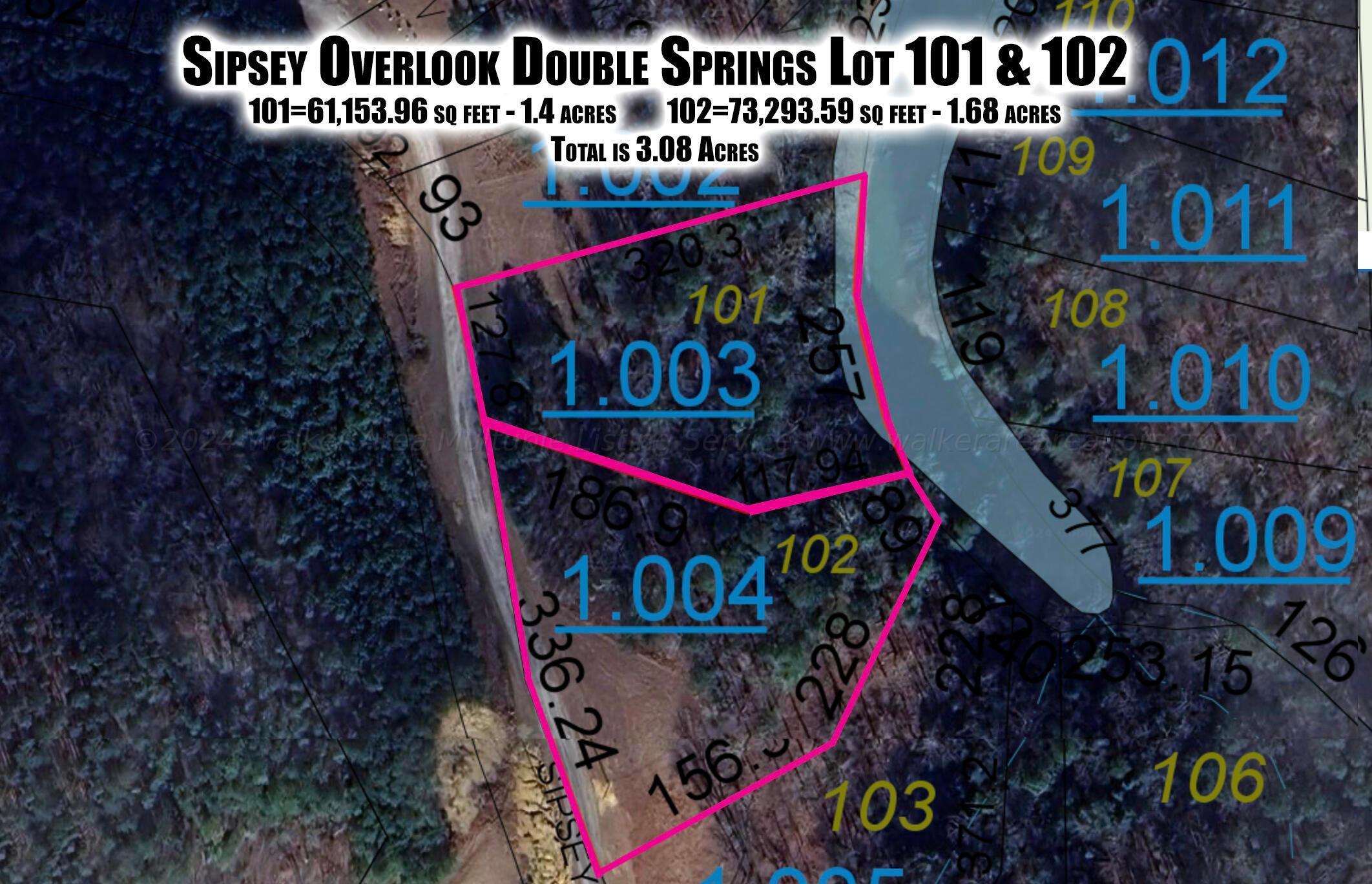 Image 2: GIS Lot Layout-101-102-Earth