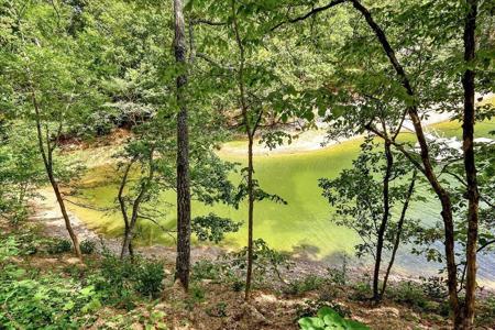 LOT 22 COUNTY ROAD 875