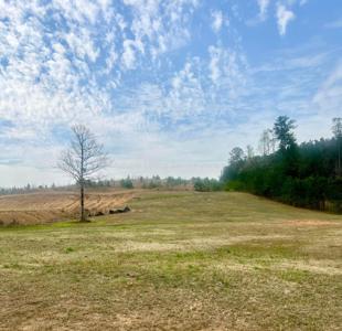 SIPSEY SHORES Dr