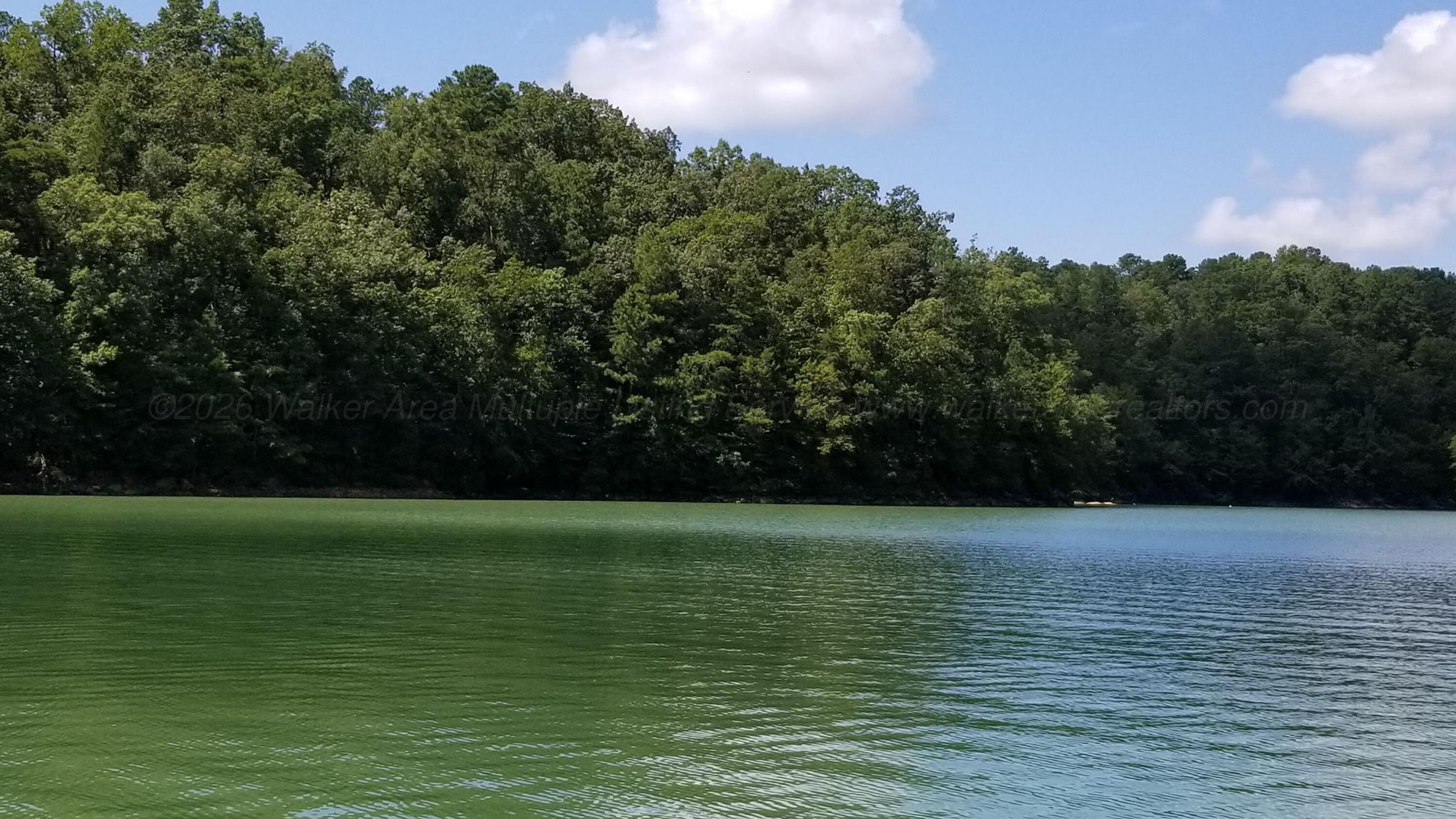Image 2: Smith Lake - Houston 20