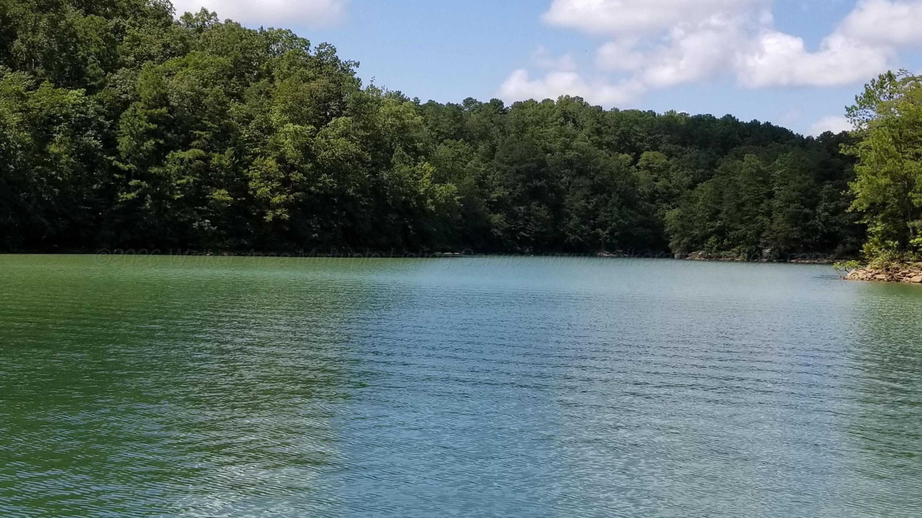Image 3: Smith Lake - Houston 21