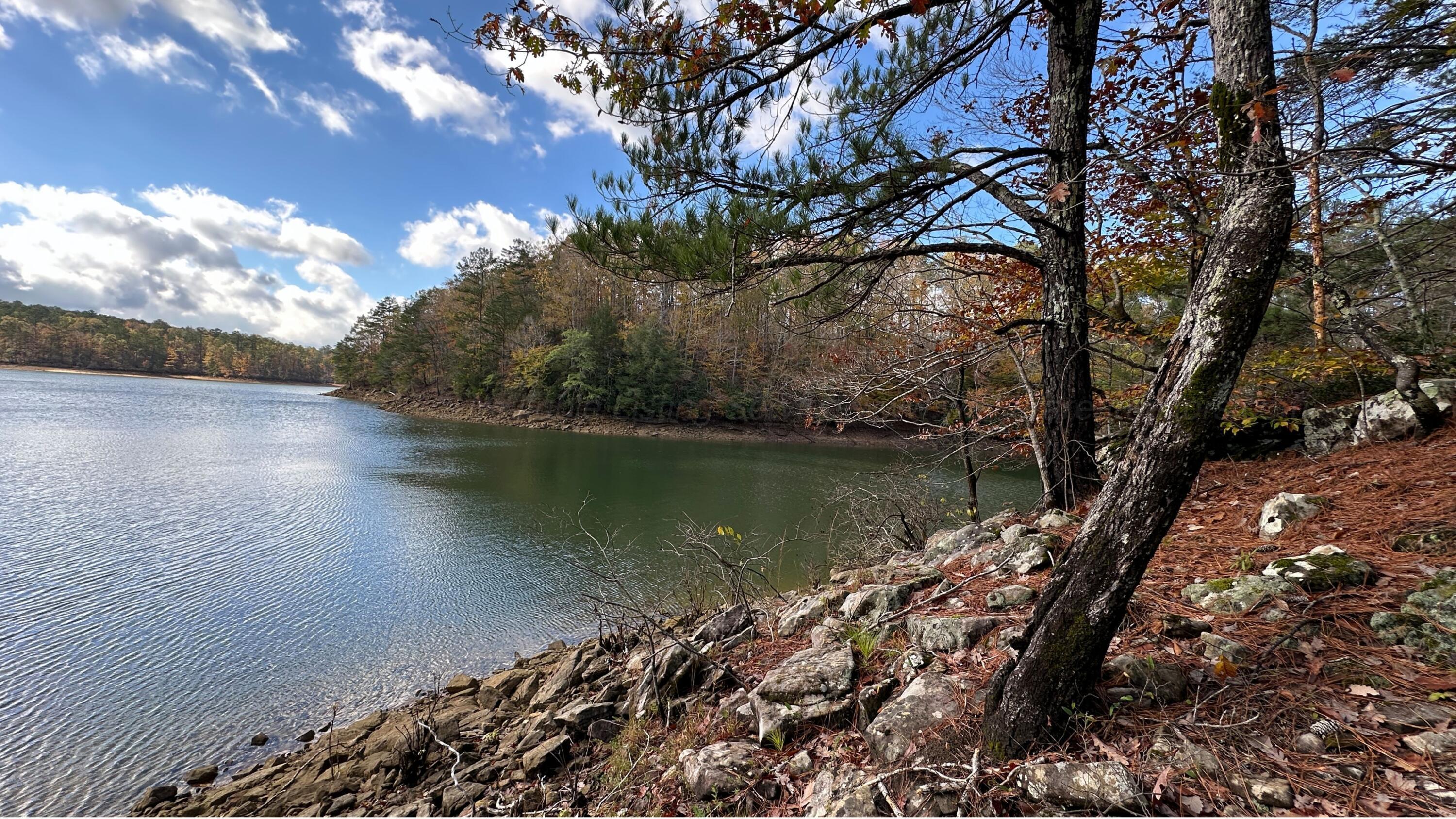 Image 4: Smith Lake - Houston 9