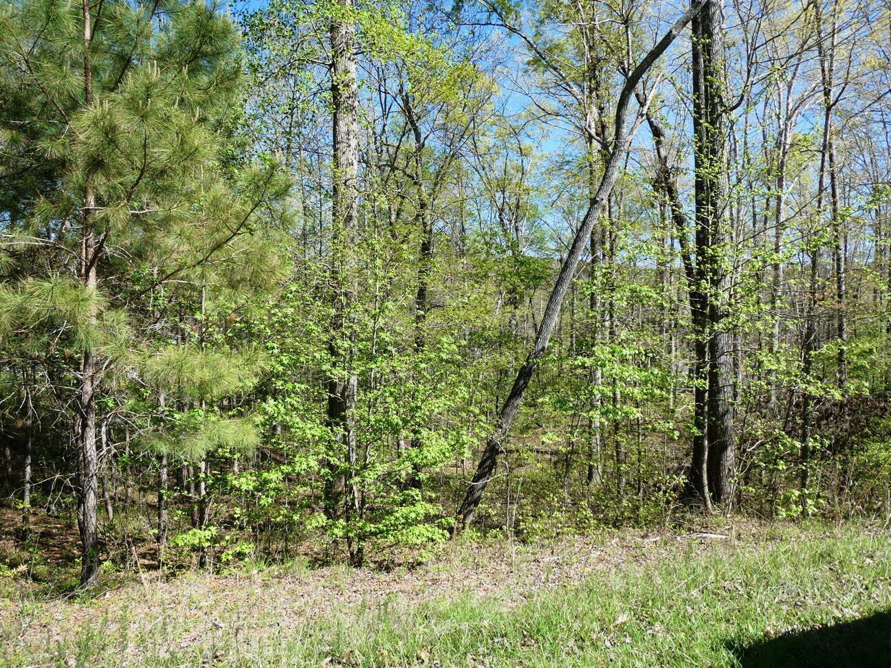Image 3: P1020627