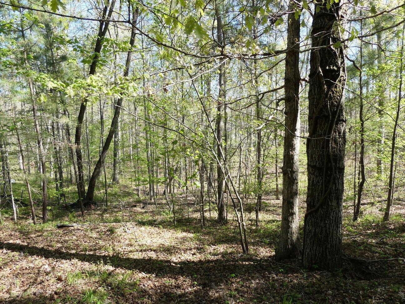 Image 4: P1020628