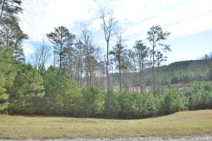 LOT 74 CANDICE LN