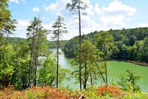 LOT 9 POPLAR RIDGE