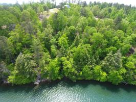 LOT 40 BRUSHY CREEK MAIN