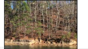 LOT 8 BLUE WATER POINTE DRIVE