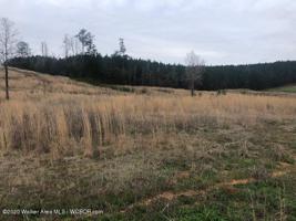 LOT 53 SIPSEY SHORES
