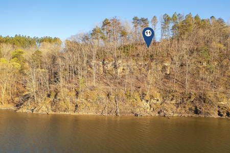 LOT 11 FLAT ROCK COVE