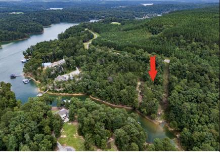 LOT 40&41 SIPSEY OVERLOOK Rd
