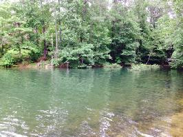 LOT 55A CO RD 175