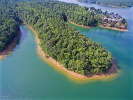 LOT 10 CO RD 51