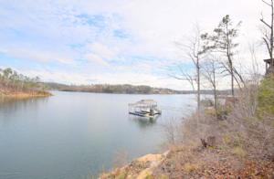 LOT 8 FOUR WATERS POINT