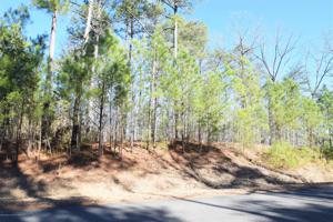 LOT 26 COUNTY ROAD 2015