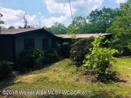 530 COUNTY RD 3941