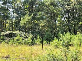 LOT 12 COUNTY ROAD 108