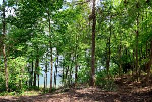 LOT 44 BLUEWATER ESTATES