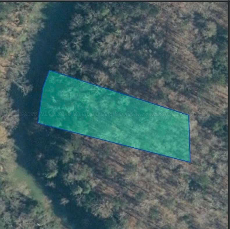 Image 1: Lot 109