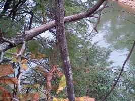 LOT # 63 HIDDEN FALLS