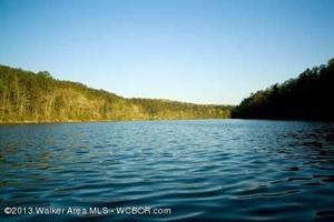 LOT #60 HIDDEN FALLS