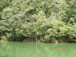 LOT 5 CEDAR POINT ROAD