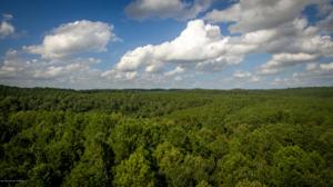 LOT 6 COUNTY ROAD 3700