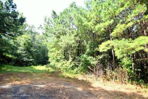 LOT 2 COUNTY ROAD 204