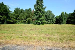 LOT 7 COUNTY ROAD 204